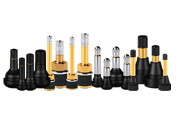 DEV BlackJack Tire Supplies, Inc.